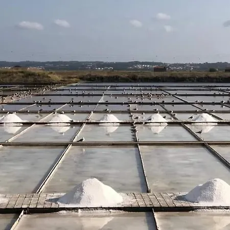 Mirasol 10 * Figueira da Foz