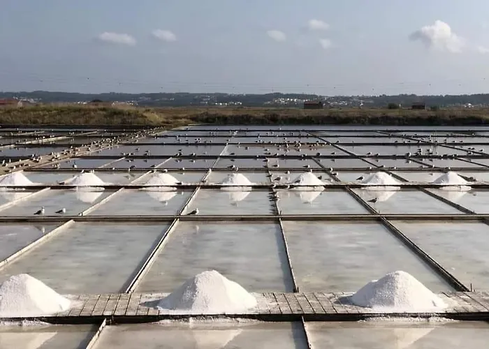 Mirasol 10 * Фигейра-да-Фош